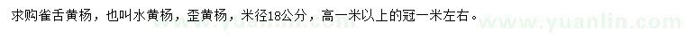 求購米徑18公分雀舌黃楊