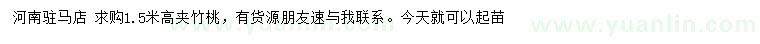 求購高1.5米夾竹桃