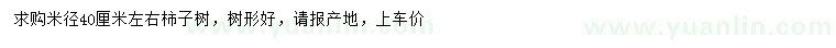求購米徑40公分左右柿子樹(shù)