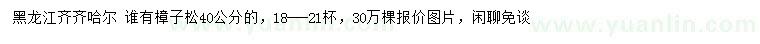 求購(gòu)40公分樟子松