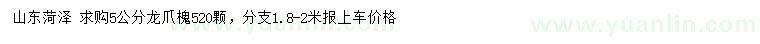 求購5公分龍爪槐
