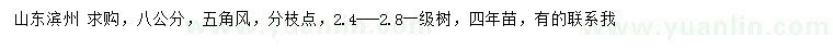 求購(gòu)8公分五角楓