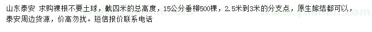 求購15公分垂柳