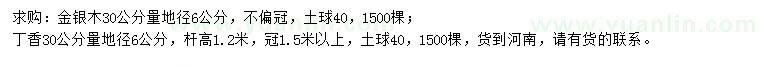 求購30公分量地徑6公分金銀木、丁香