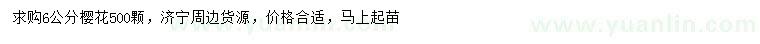 求購6公分櫻花