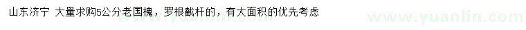求購5公分老國槐