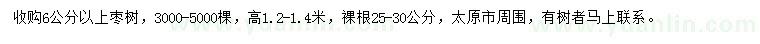 求購6公分以上棗樹