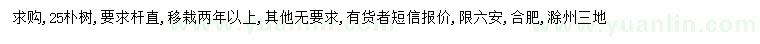 求購25公分樸樹