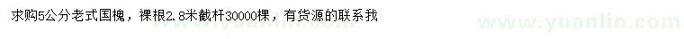 求購5公分老式國槐
