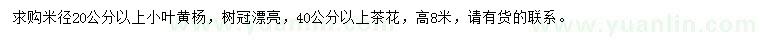 求購(gòu)米徑20公分以上小葉黃楊、40公分以上茶花