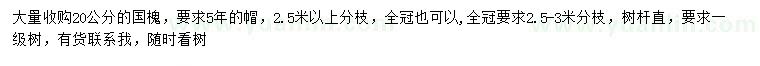 求購20公分國槐