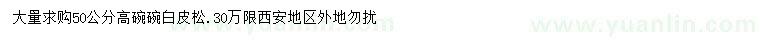 求購50公分白皮松