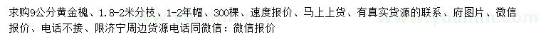 求購9公分黃金槐