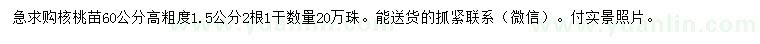 求購高60公分核桃苗