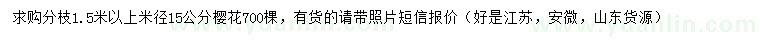 求購米徑15公分櫻花