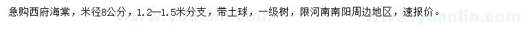 求購米徑8公分西府海棠