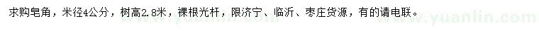 求購(gòu)米徑4公分皂角