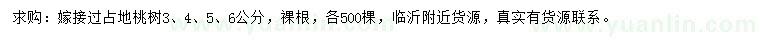 求購(gòu)3、4、5、6公分桃樹(shù)