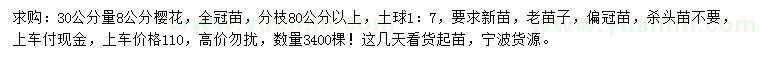 求購(gòu)30公分量8公分櫻花