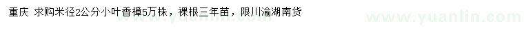 求購米徑2公分小葉香樟