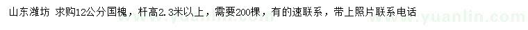 求購12公分國槐