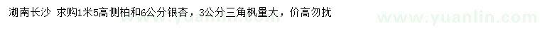 求購側(cè)柏、銀杏、三角楓