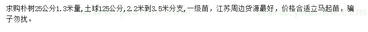 求購1.3米量25公分樸樹