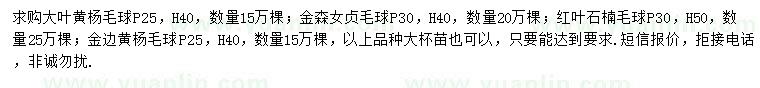 求購大葉黃楊、金森女貞、紅葉石楠等
