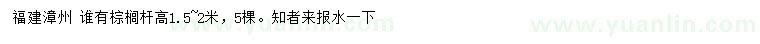 求購桿高1.5-2米棕櫚