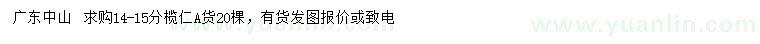 求購14-15公分欖仁