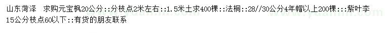 求購元寶楓、法桐、紫葉李