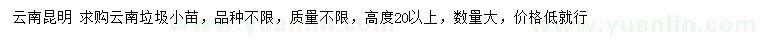求購高20公分以上云南垃圾小苗