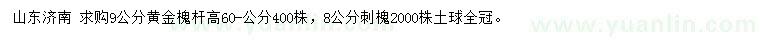 求購(gòu)9公分黃金槐、8公分刺槐