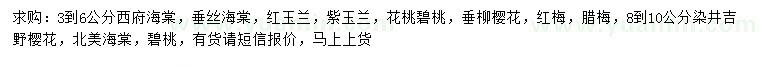 求購西府海棠、垂絲海棠、紅玉蘭等