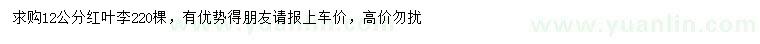 求購(gòu)12公分紅葉李