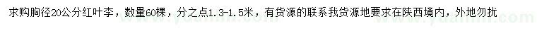 求購胸徑20公分紅葉李