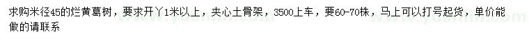求購米徑45公分爛黃葛樹