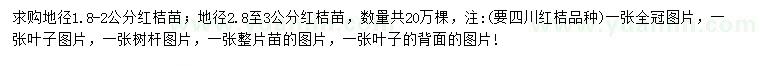求購(gòu)地徑1.8-2、2.8-3公分紅桔苗