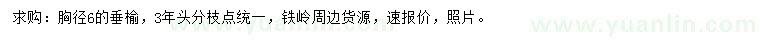 求購胸徑6公分垂榆