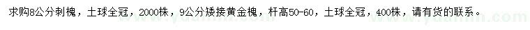 求購(gòu)8公分刺槐、9公分矮接黃金槐