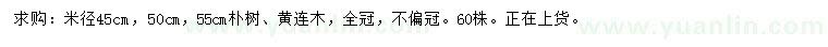 求購米徑45、50、55公分樸樹、黃連木