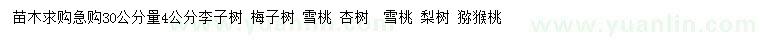 求購(gòu)李子樹(shù)、梅子樹(shù)、雪桃等