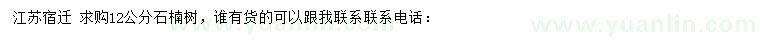 求購12公分石楠樹