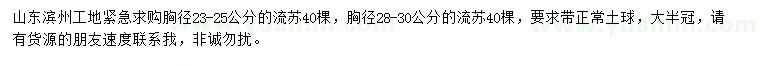 求購胸徑23-25、28-30公分流蘇