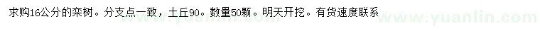 求購(gòu)16公分欒樹(shù)
