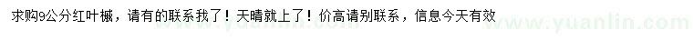 求購(gòu)9公分紅葉槭