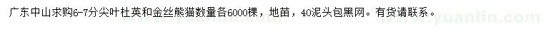 求購6-7分尖葉杜英、金絲熊
