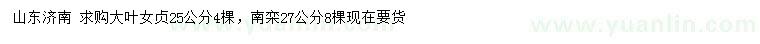 求購(gòu)25公分大葉女貞、27公分南欒