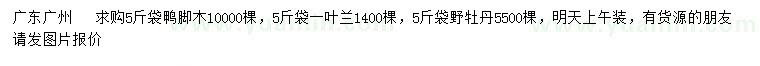 求購(gòu)鴨腳木、一葉蘭、野牡丹