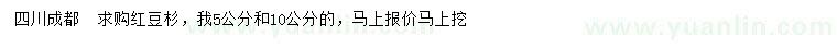 求購5、10公分紅豆杉